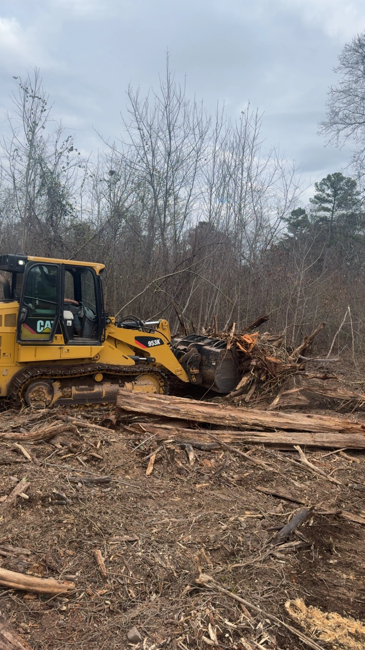 Forestry mulching in Northwest Georgia