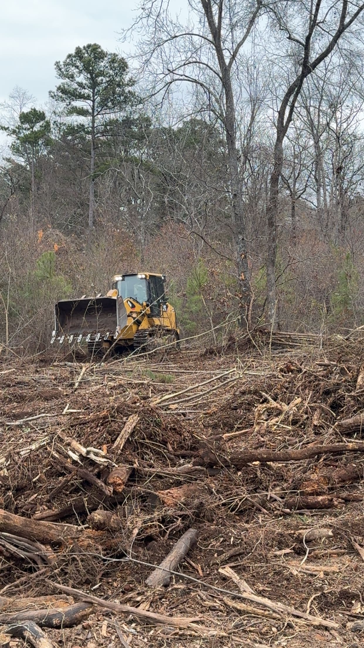 Professional land management results