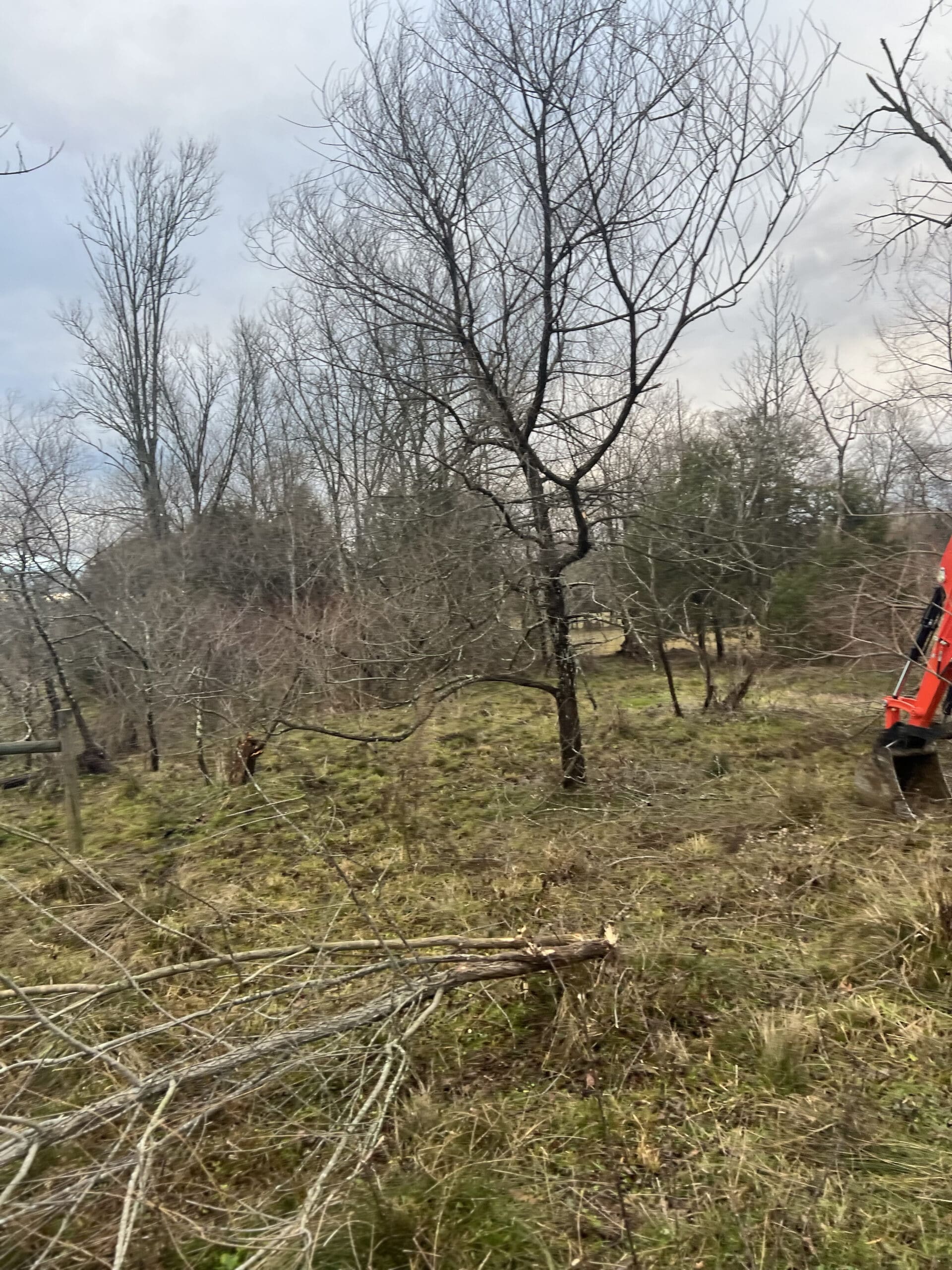 managed hunting land near Aragon Georgia