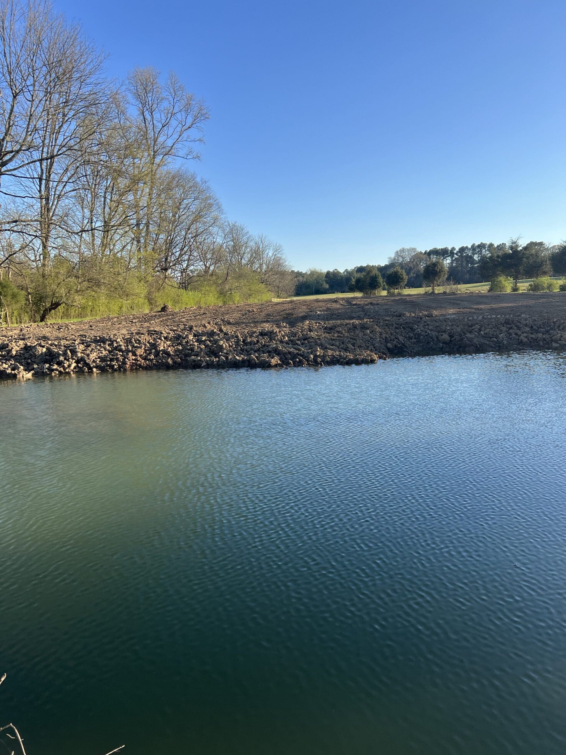 Finished pond area by Gibbs Grading near Aragon Georgia